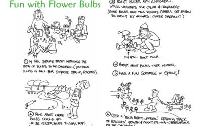Plant some Bulbs
